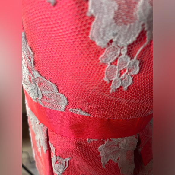 Authentic Vintage Erdem Lace Overlay Dress - Picture 4 of 12